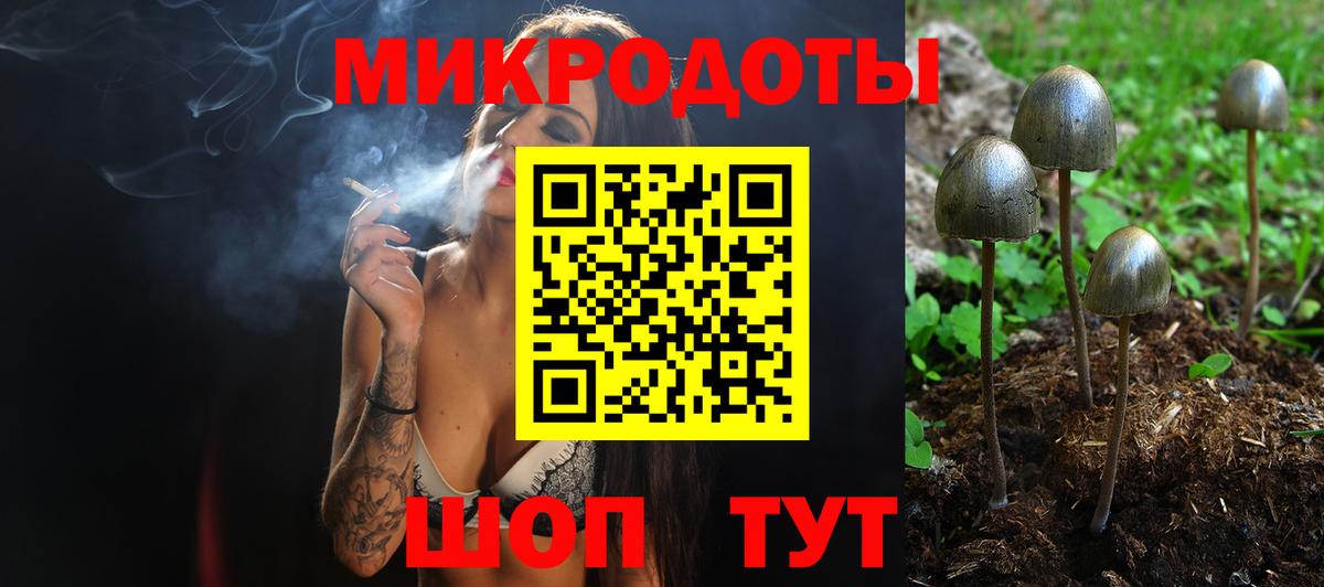 Галлюциногенные грибы GOLDEN TEACHER  Галлюциногенные грибы мухоморы  Вход с VPN  Тверь 