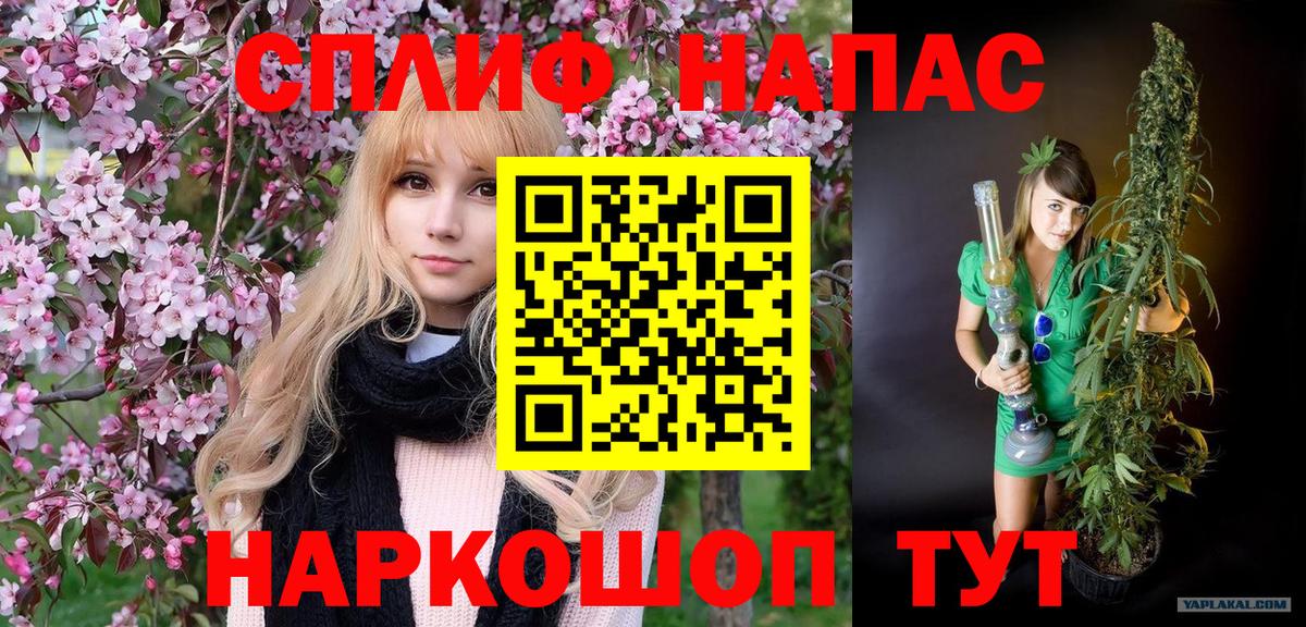Конопля AK-47 Тверь